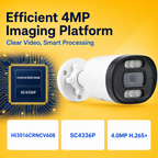 H.265 Plus chipset platform supporting efficient four-megapixel security video