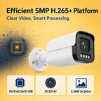 Efficient H.265+ chipset platform for five-megapixel video recording